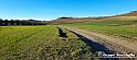 20230110_154508 - Dalla terra... il grano